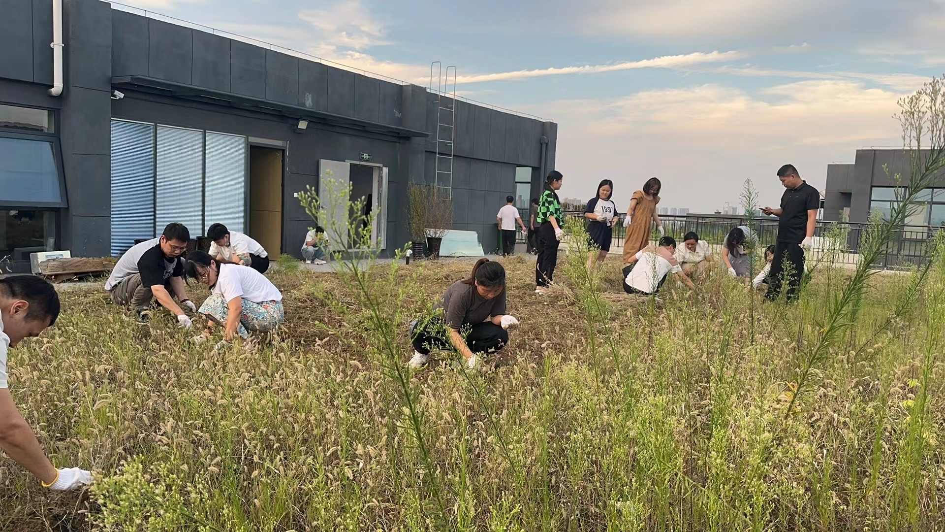 欣赏下独属我们的小菜园 欣赏下独属我们的小菜园