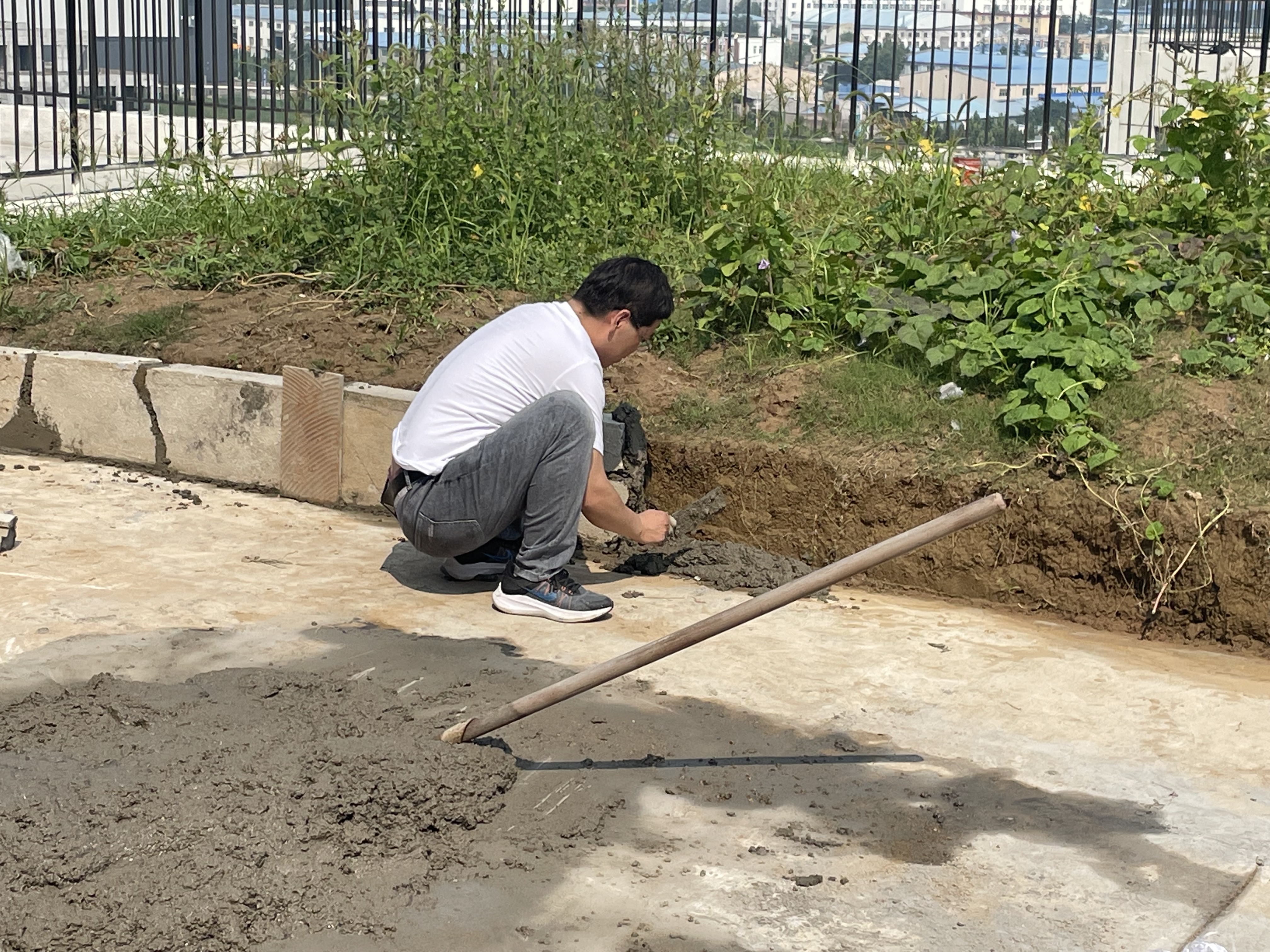 欣赏下独属我们的小菜园