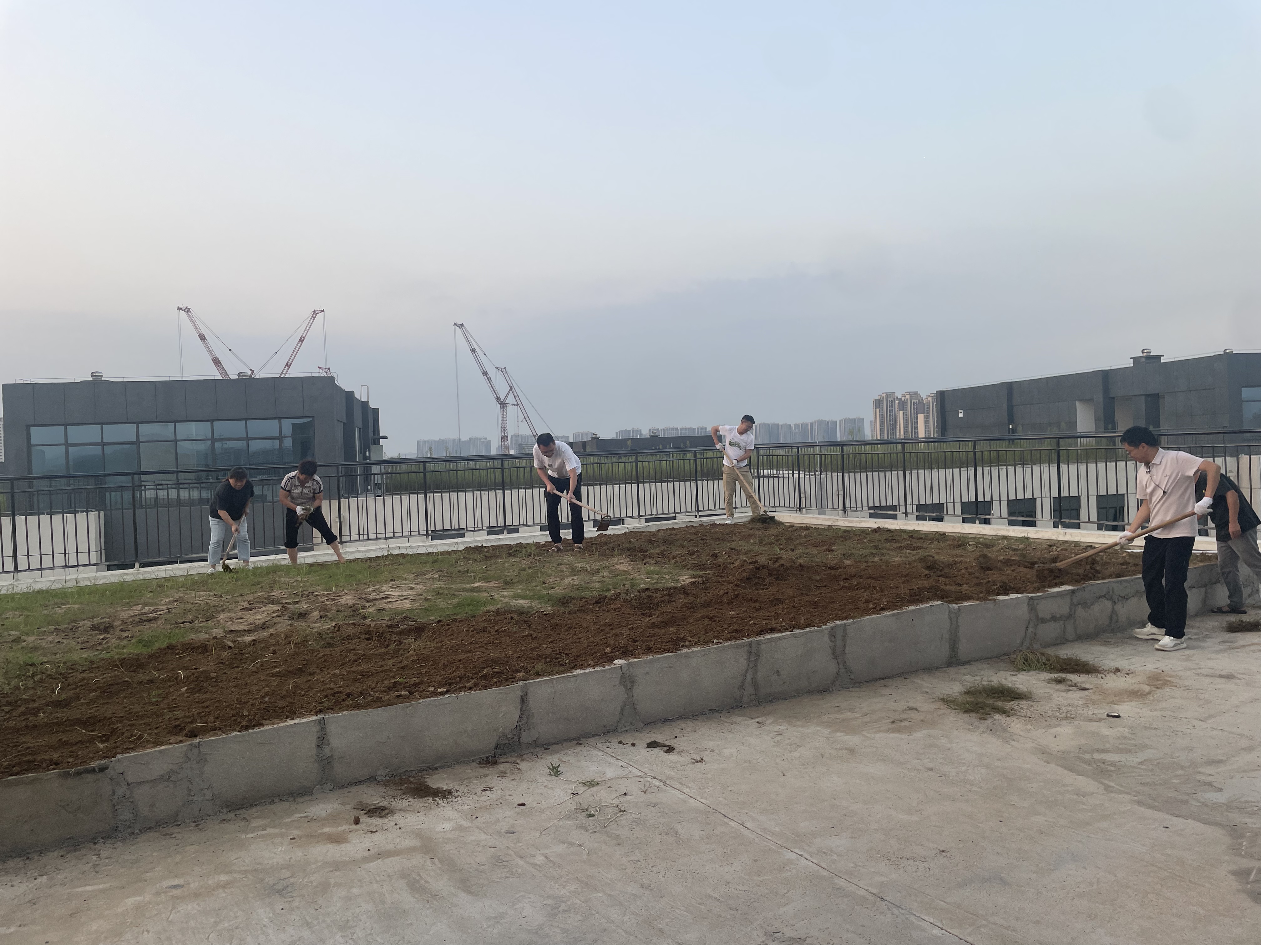 欣赏下独属我们的小菜园